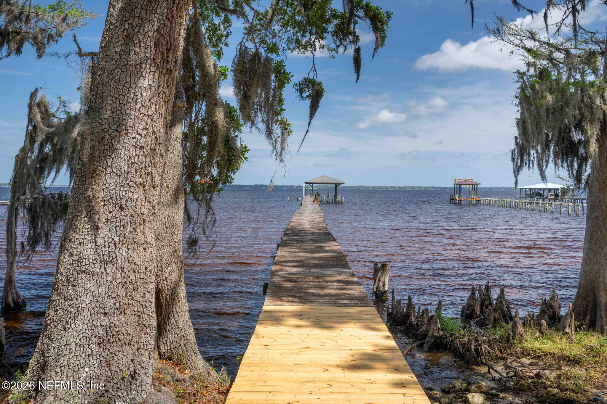 4841 Raggedy Point Road Fleming Island, FL 32003 - Photo 57 of 62 View of River and Trees
