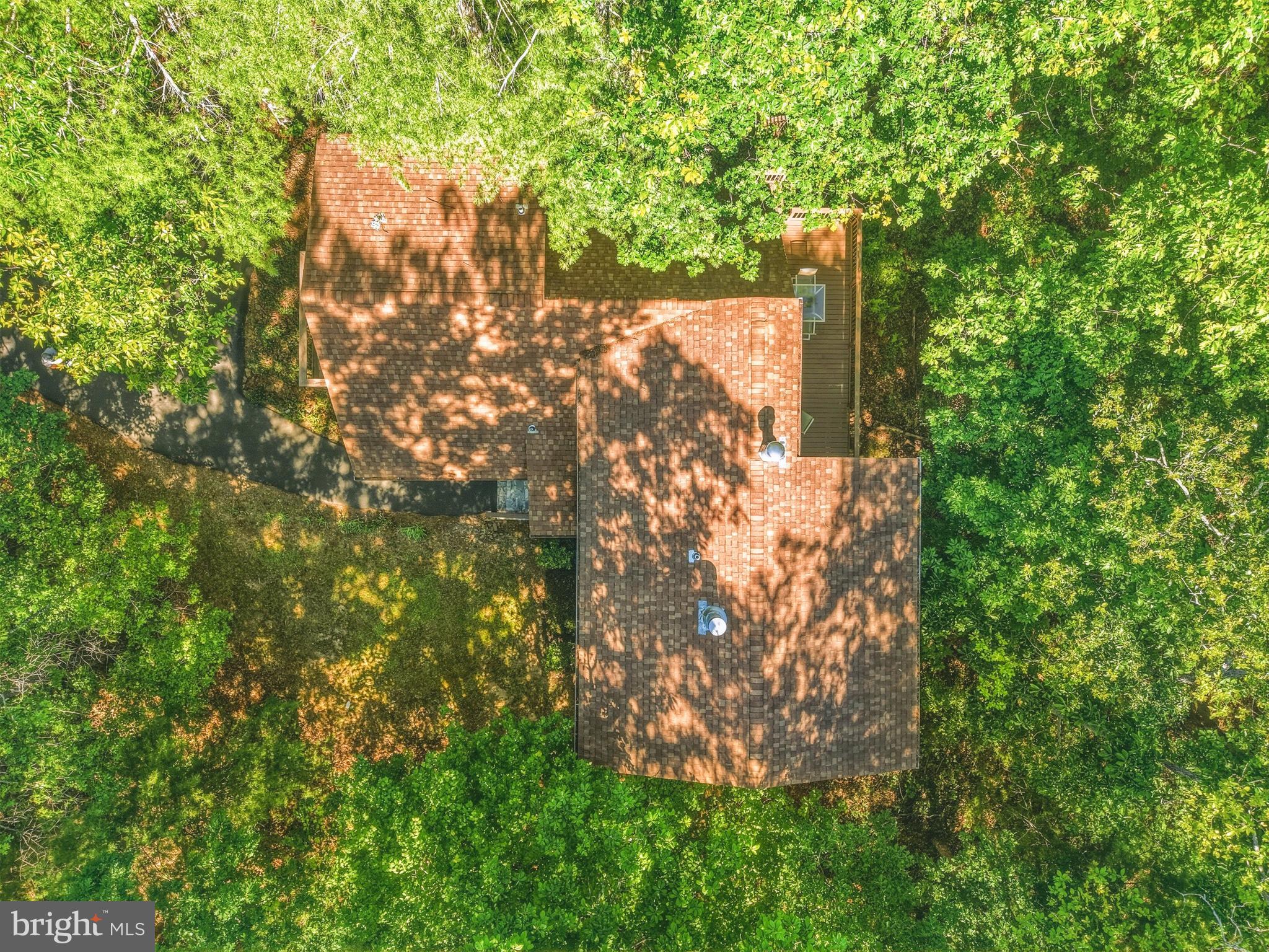 309 Locust Lane Mount Jackson, VA 22842 - Photo 12 of 57