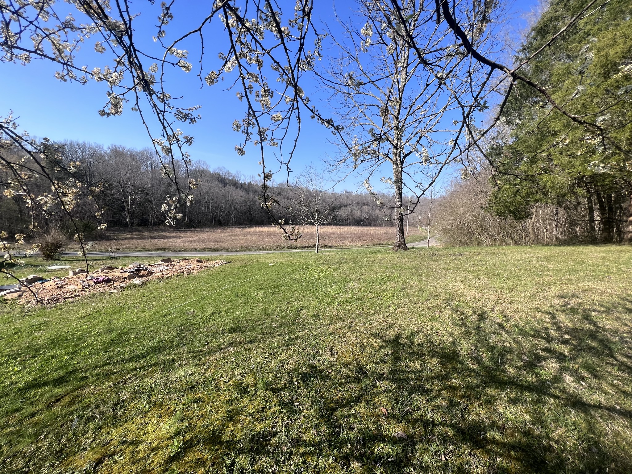 285 Spring Creek Road Lawrenceburg, TN 38464 - Photo 13 of 45 a view of outdoor space with trees all around