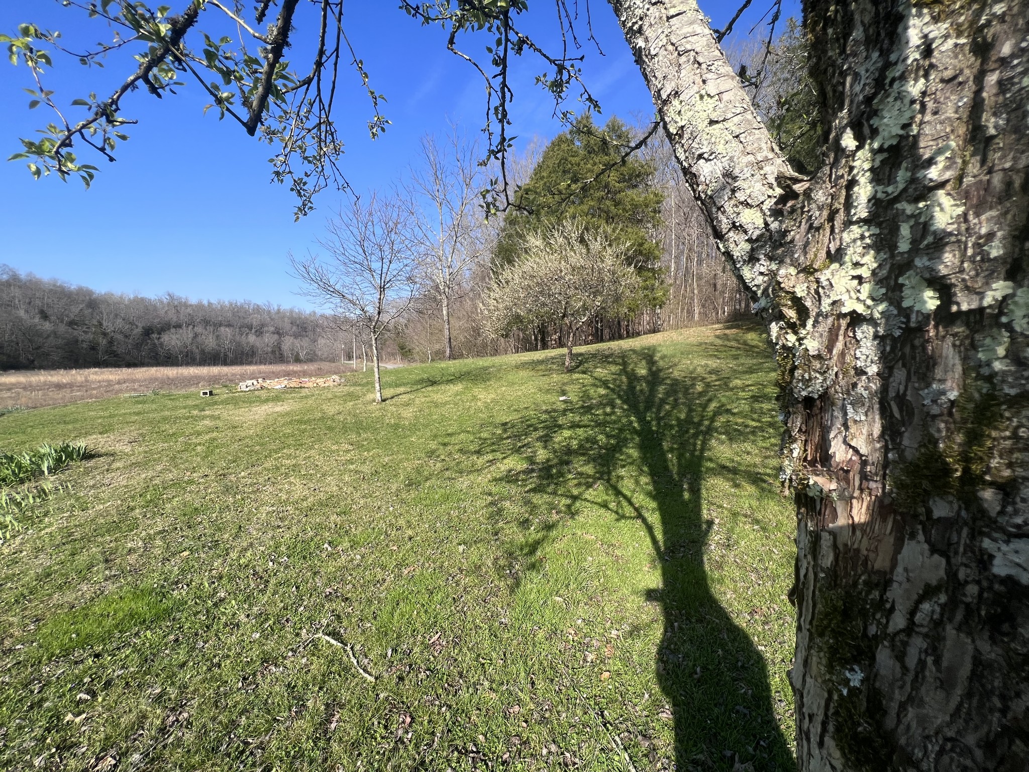285 Spring Creek Road Lawrenceburg, TN 38464 - Photo 16 of 45 a view of lake view and mountain view