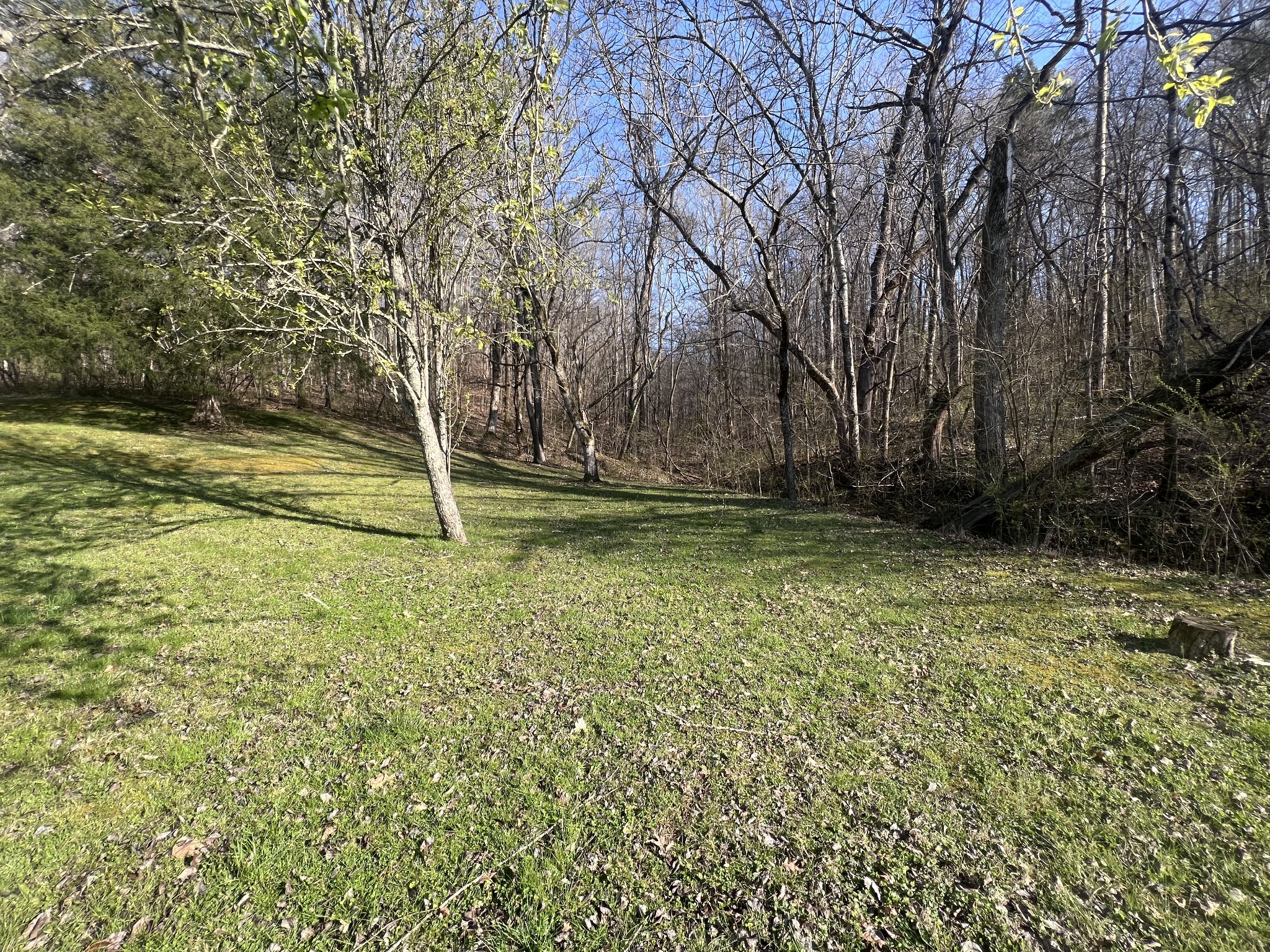 285 Spring Creek Road Lawrenceburg, TN 38464 - Photo 17 of 45 a backyard of a house with lots of green space
