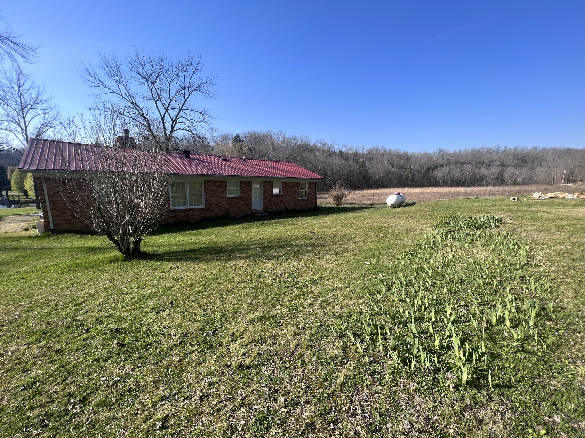 285 Spring Creek Road Lawrenceburg, TN 38464 - Photo 18 of 45 a view of a backyard with a garden