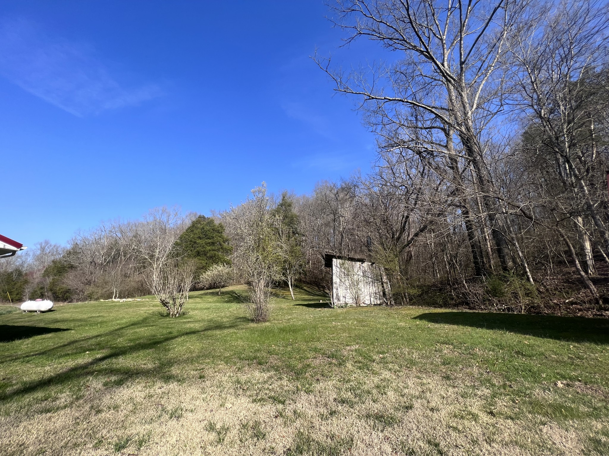 285 Spring Creek Road Lawrenceburg, TN 38464 - Photo 19 of 45 a view of a tiny house with a yard