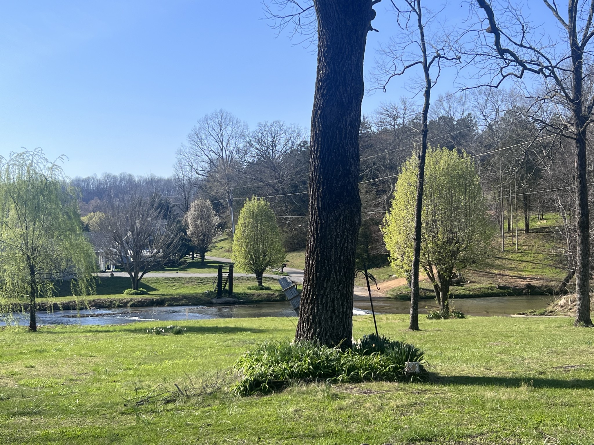 285 Spring Creek Road Lawrenceburg, TN 38464 - Photo 21 of 45 a view of a park