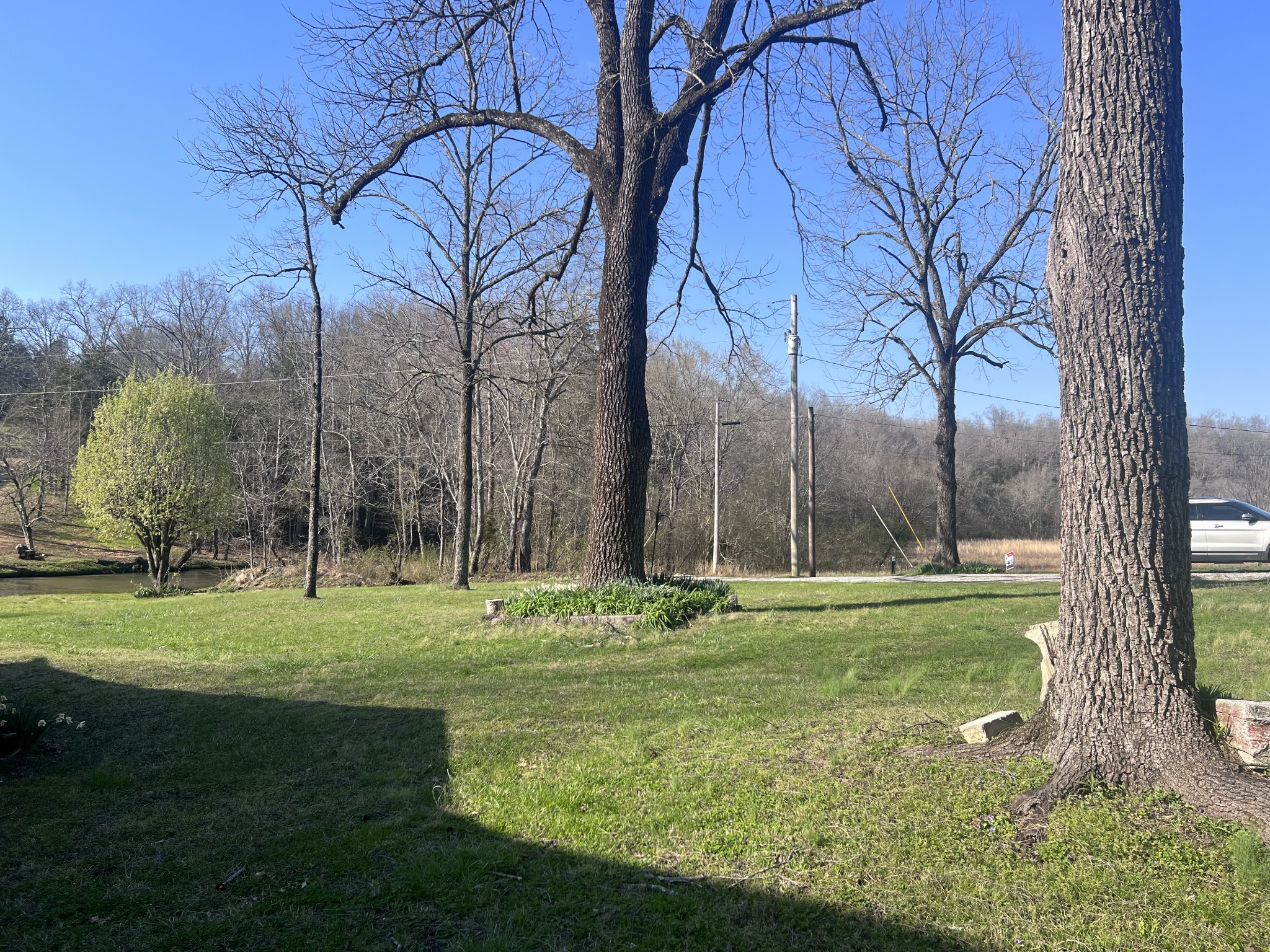 285 Spring Creek Road Lawrenceburg, TN 38464 - Photo 24 of 45 a garden with trees in the background