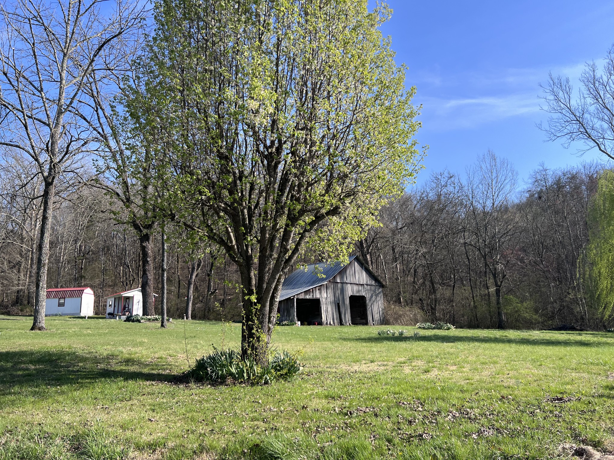 285 Spring Creek Road Lawrenceburg, TN 38464 - Photo 27 of 45 a front view of a house with a yard