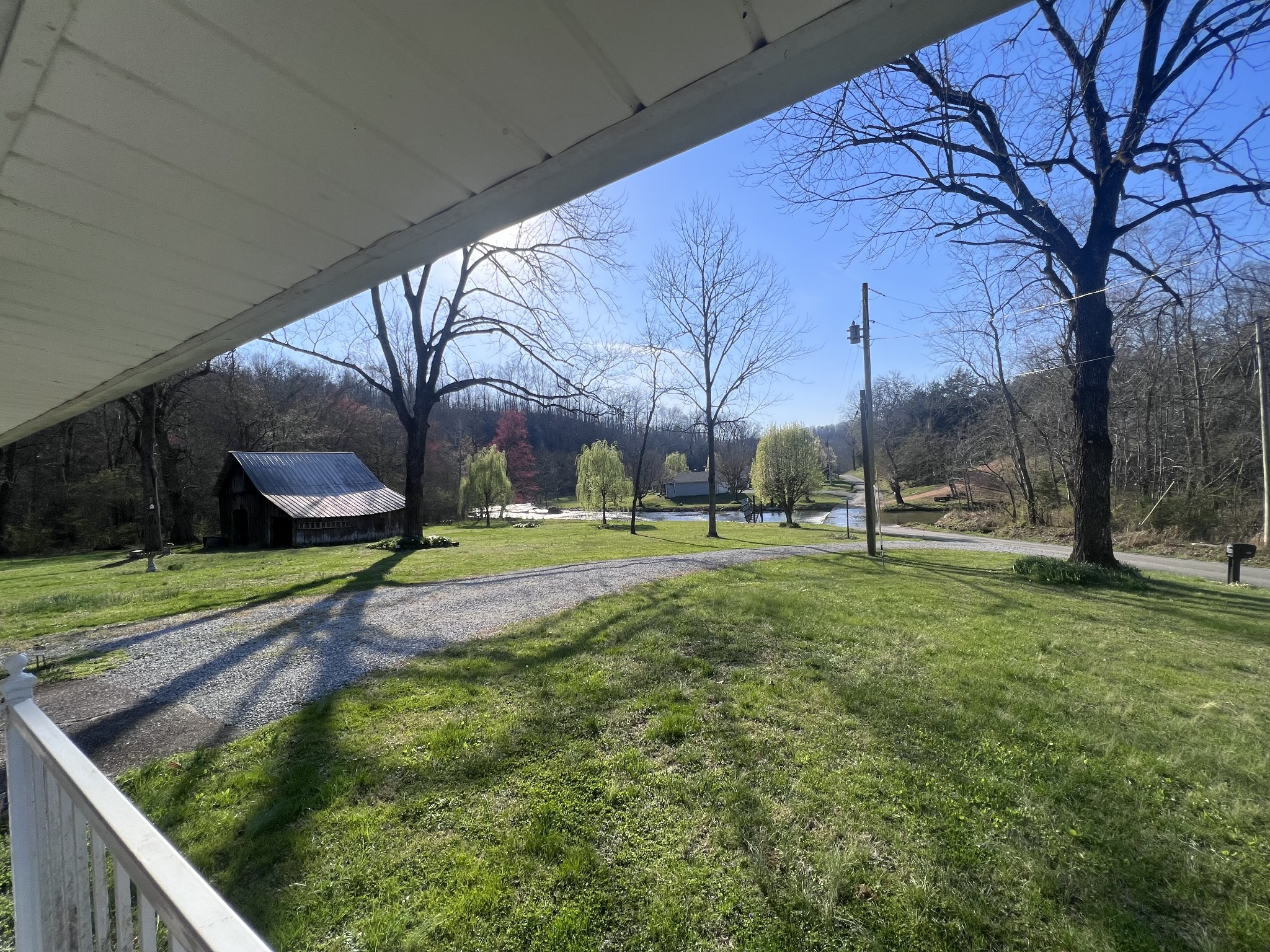 285 Spring Creek Road Lawrenceburg, TN 38464 - Photo 5 of 45 a view of yard with large tree