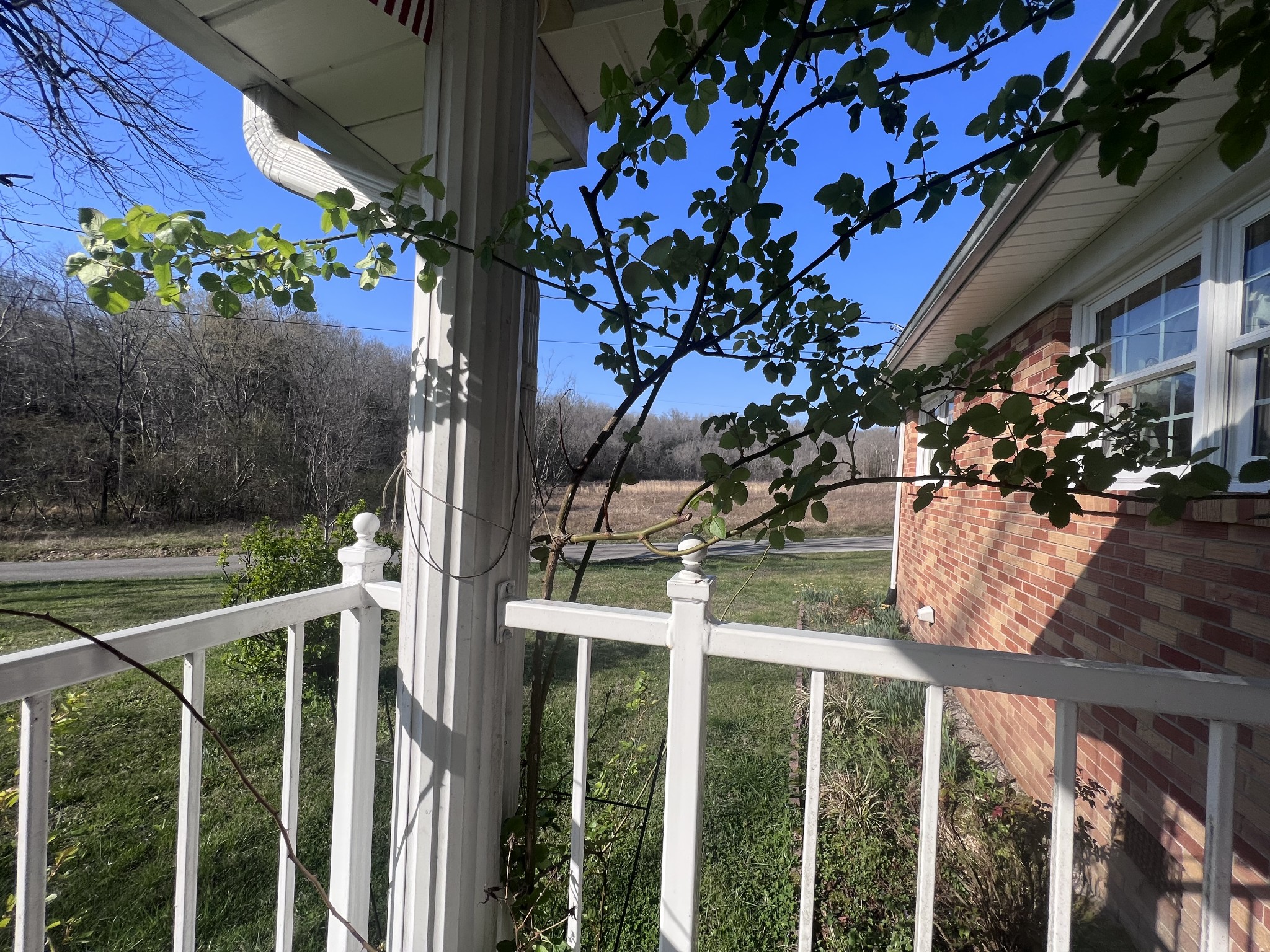 285 Spring Creek Road Lawrenceburg, TN 38464 - Photo 7 of 45 a view of a balcony with flower plants