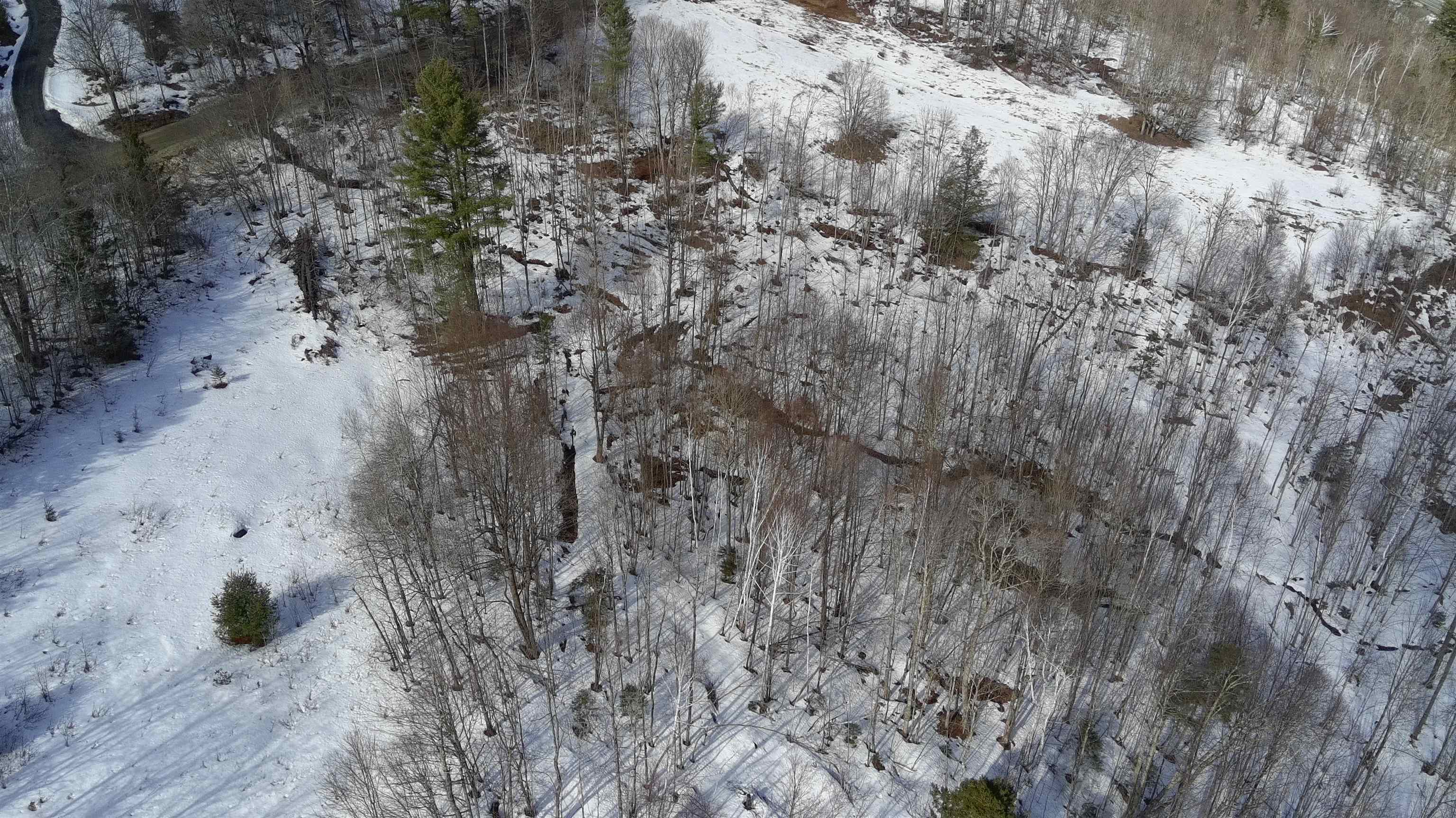 Lot 1 Thurston Hill Road Roxbury, VT 05669 - Photo 13 of 16