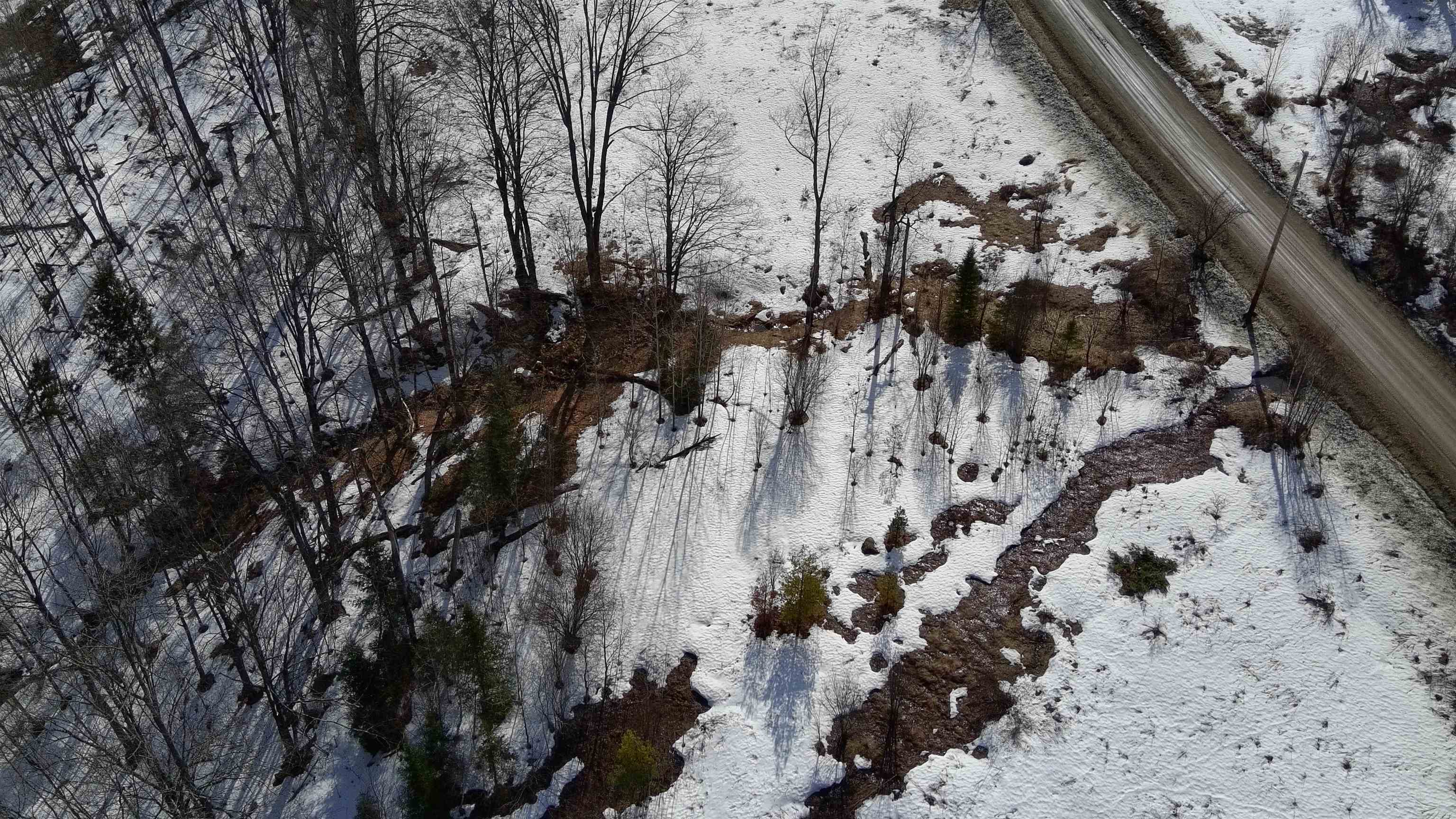 Lot 1 Thurston Hill Road Roxbury, VT 05669 - Photo 2 of 16