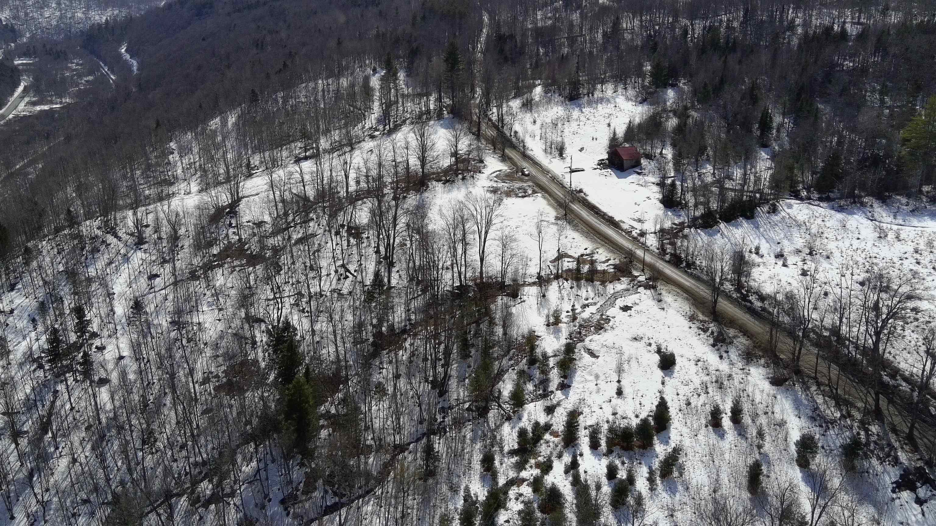 Lot 1 Thurston Hill Road Roxbury, VT 05669 - Photo 4 of 16