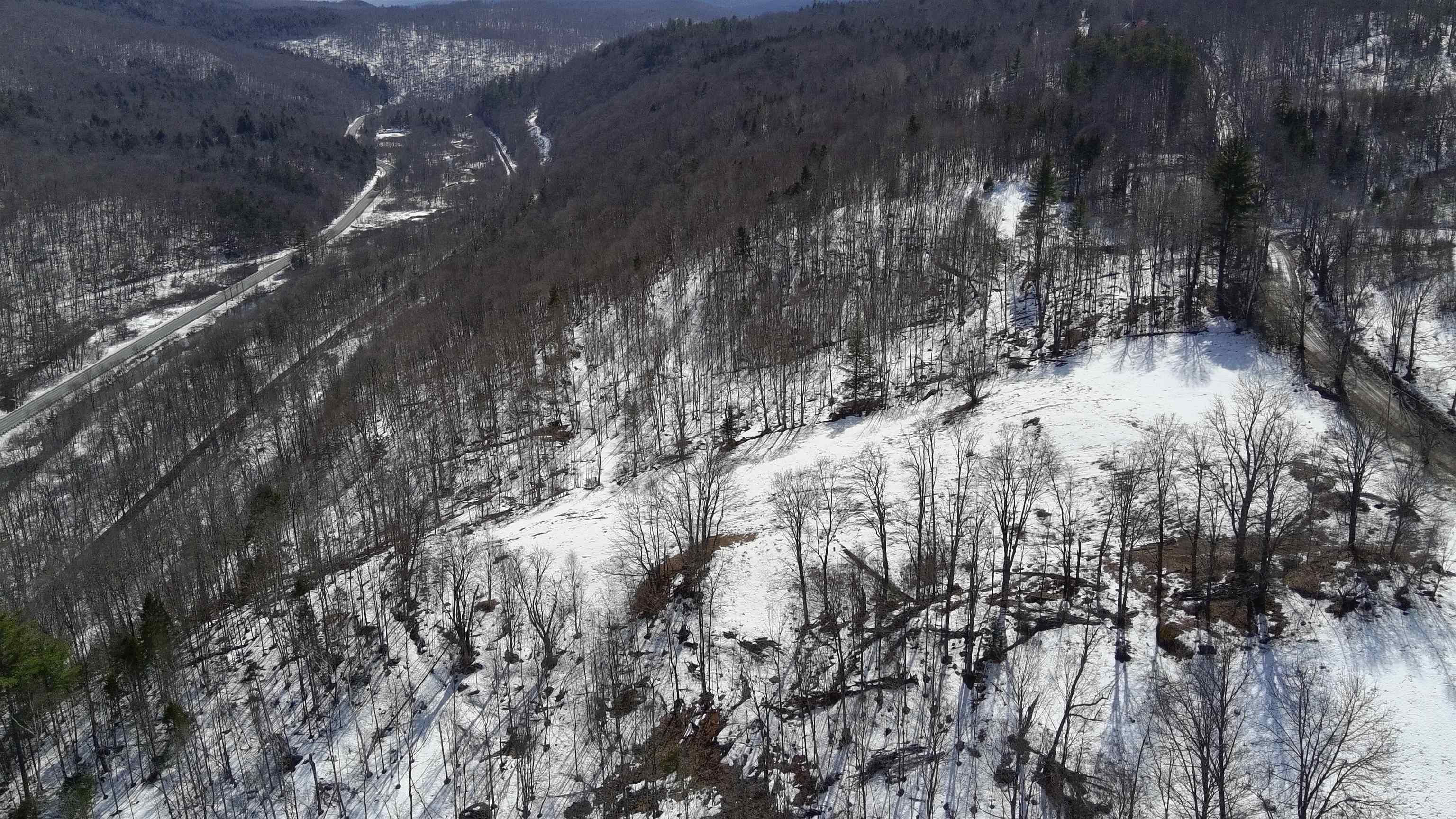 Lot 1 Thurston Hill Road Roxbury, VT 05669 - Photo 6 of 16