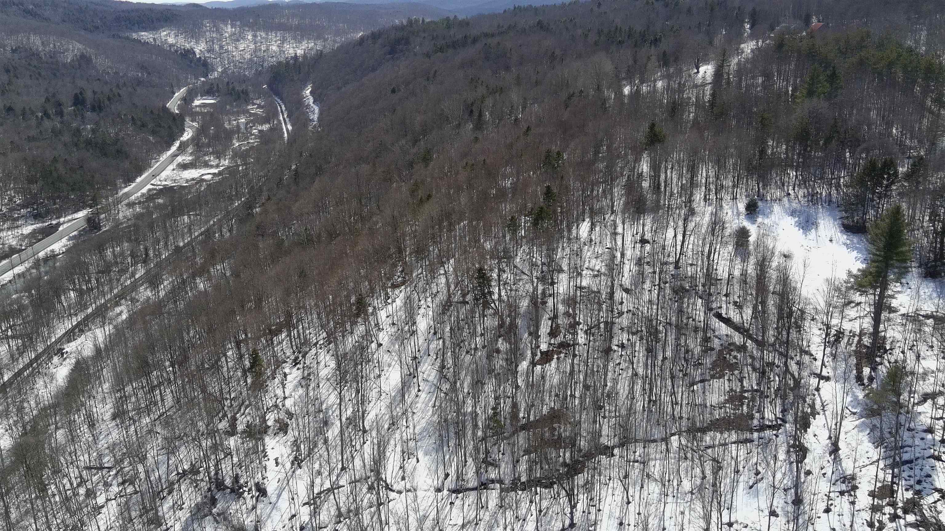 Lot 1 Thurston Hill Road Roxbury, VT 05669 - Photo 8 of 16