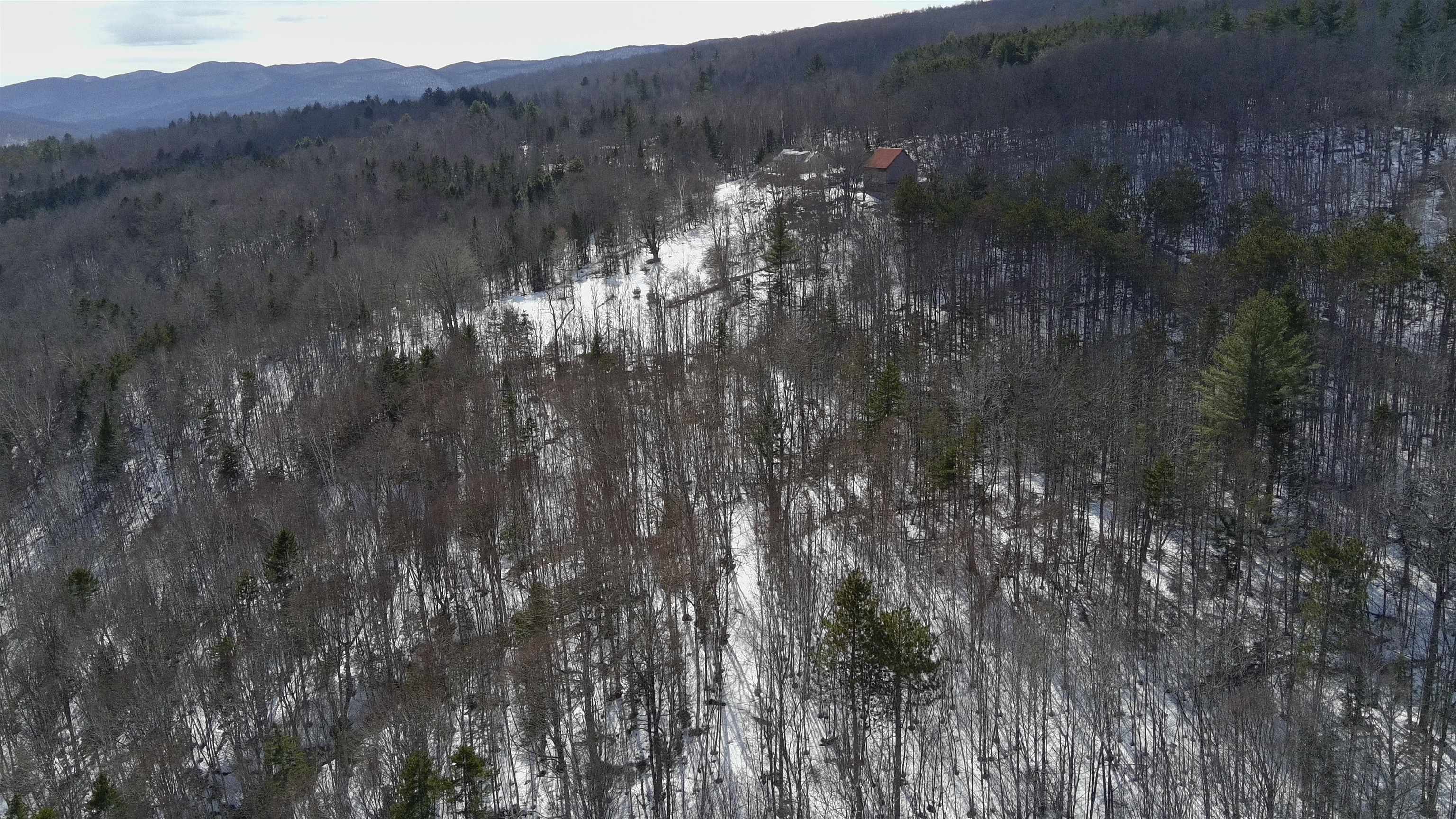 Lot 1 Thurston Hill Road Roxbury, VT 05669 - Photo 10 of 16