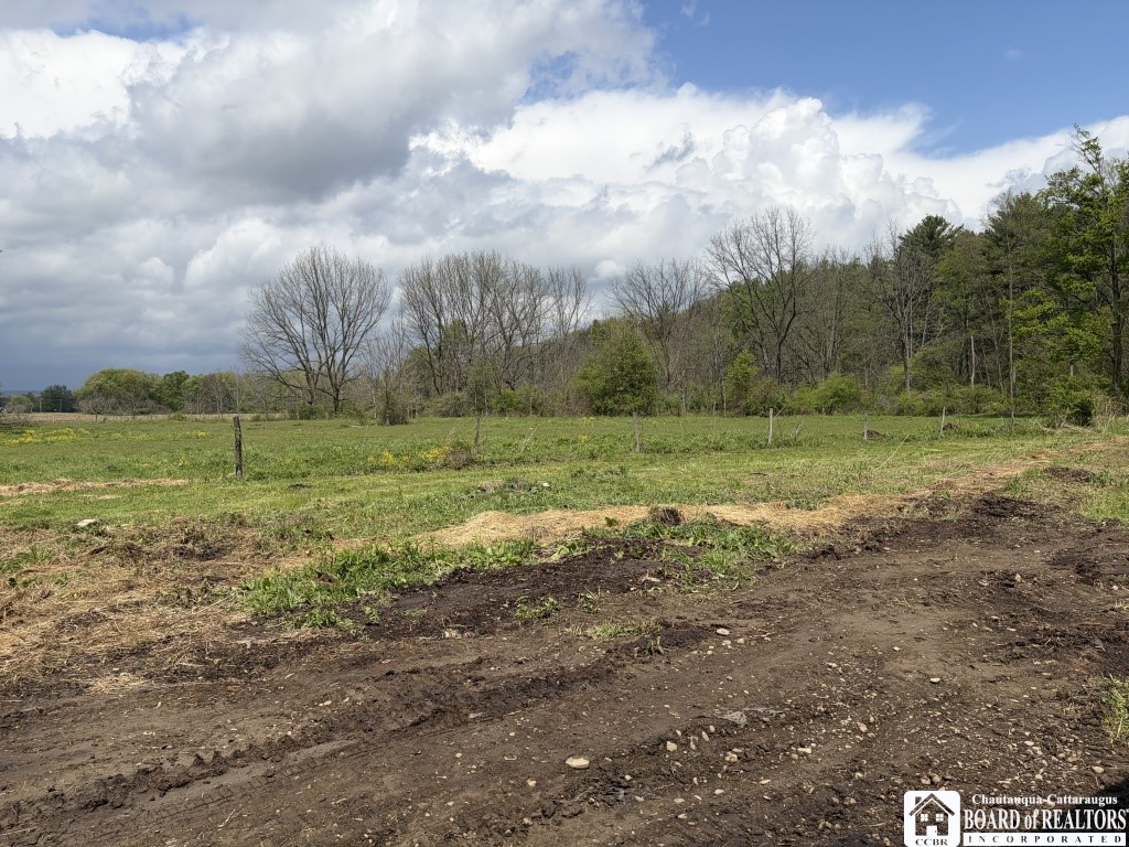 1106 Frew Run Road Carroll, NY 14738 - Photo 15 of 31