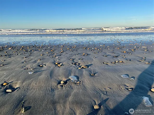a view of a backyard of the house