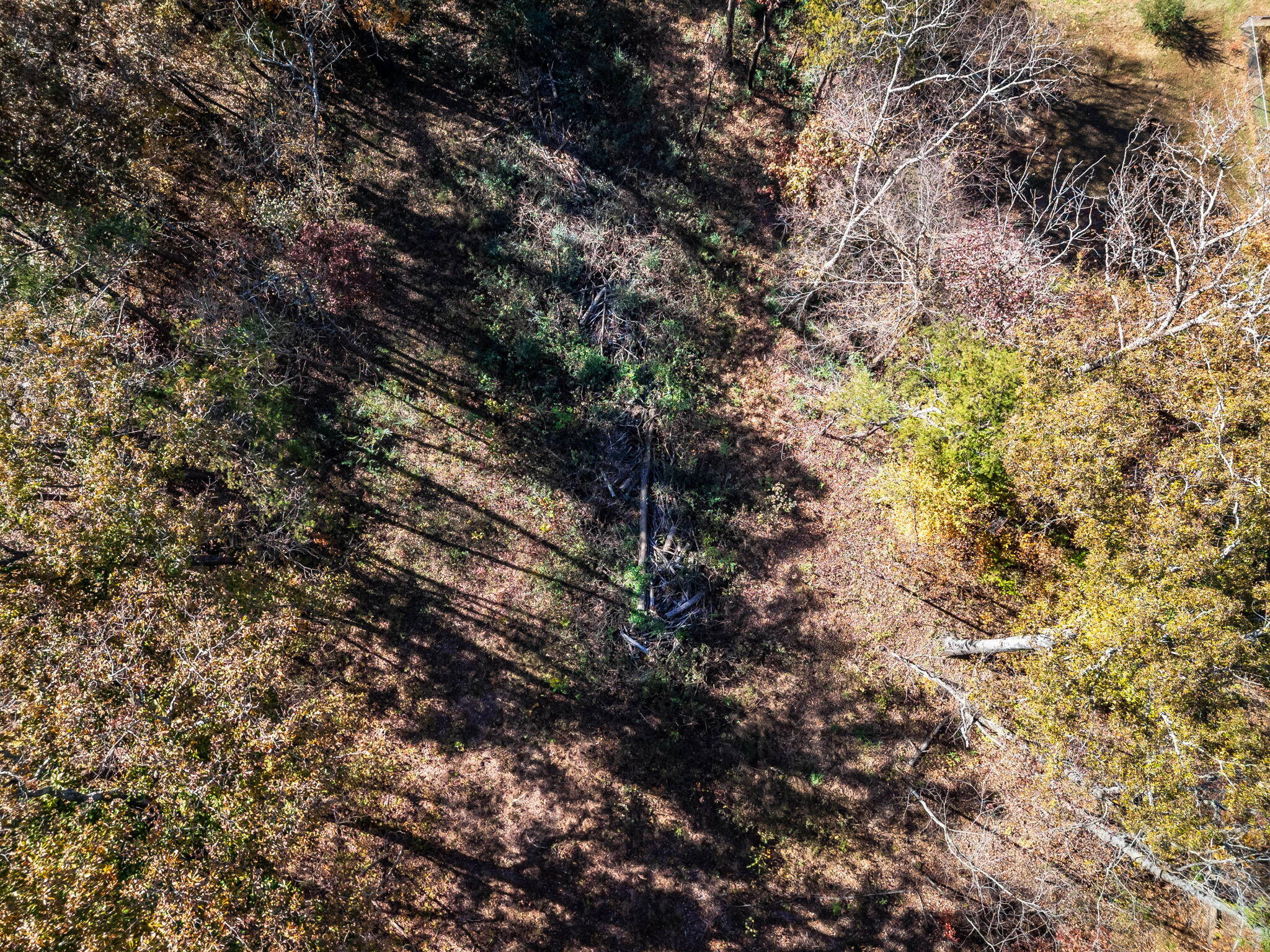 5436 McCahill Road Chattanooga, TN 37415 - Photo 22 of 22 22-web-or-mls-5436-mccahill-rd