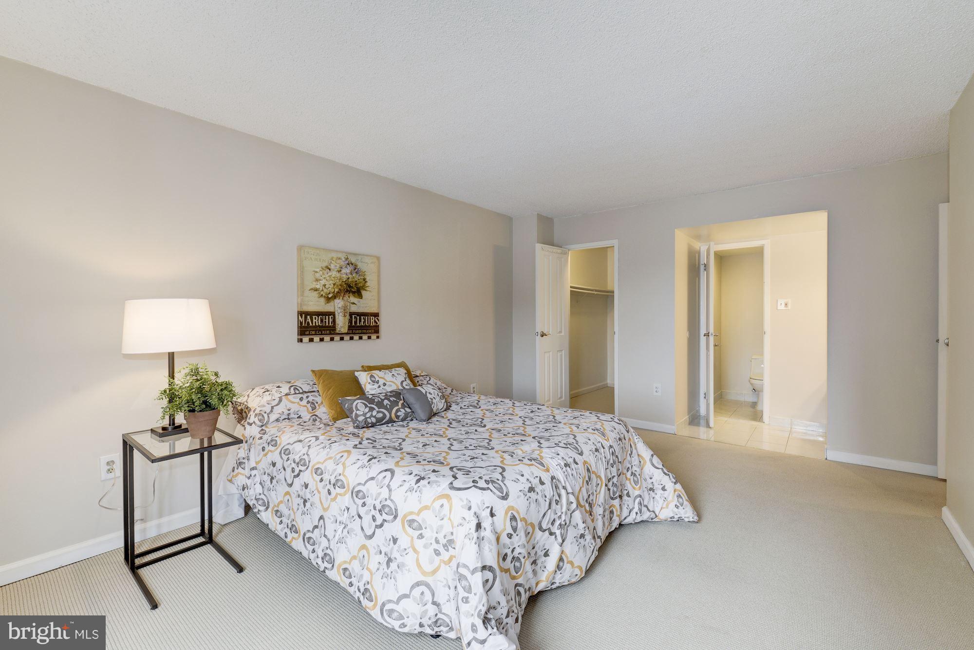 4500 South Four Mile Run Drive, Unit 202 Arlington, VA 22204 - Photo 10 of 26 Bedroom (Master)