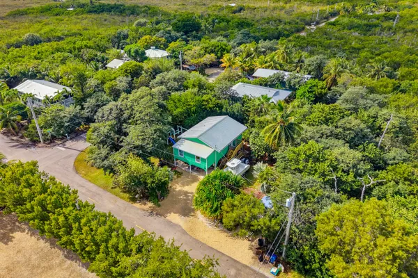 an aerial view of residential house with outdoor space and trees all around