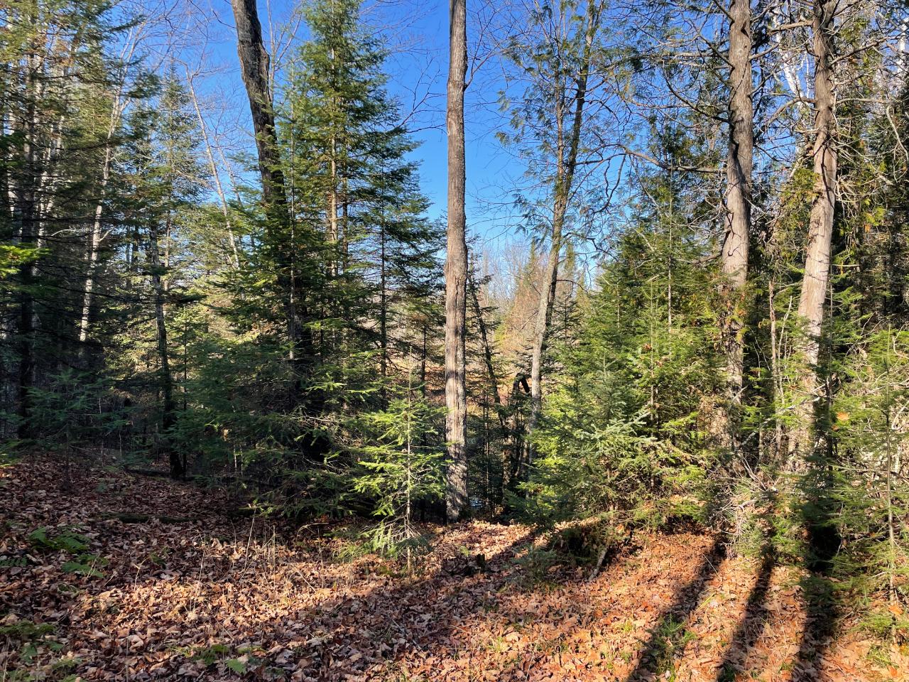 Lot 36 Cth B Road Hurley, WI 54534 - Photo 11 of 13 Gallery Image 11