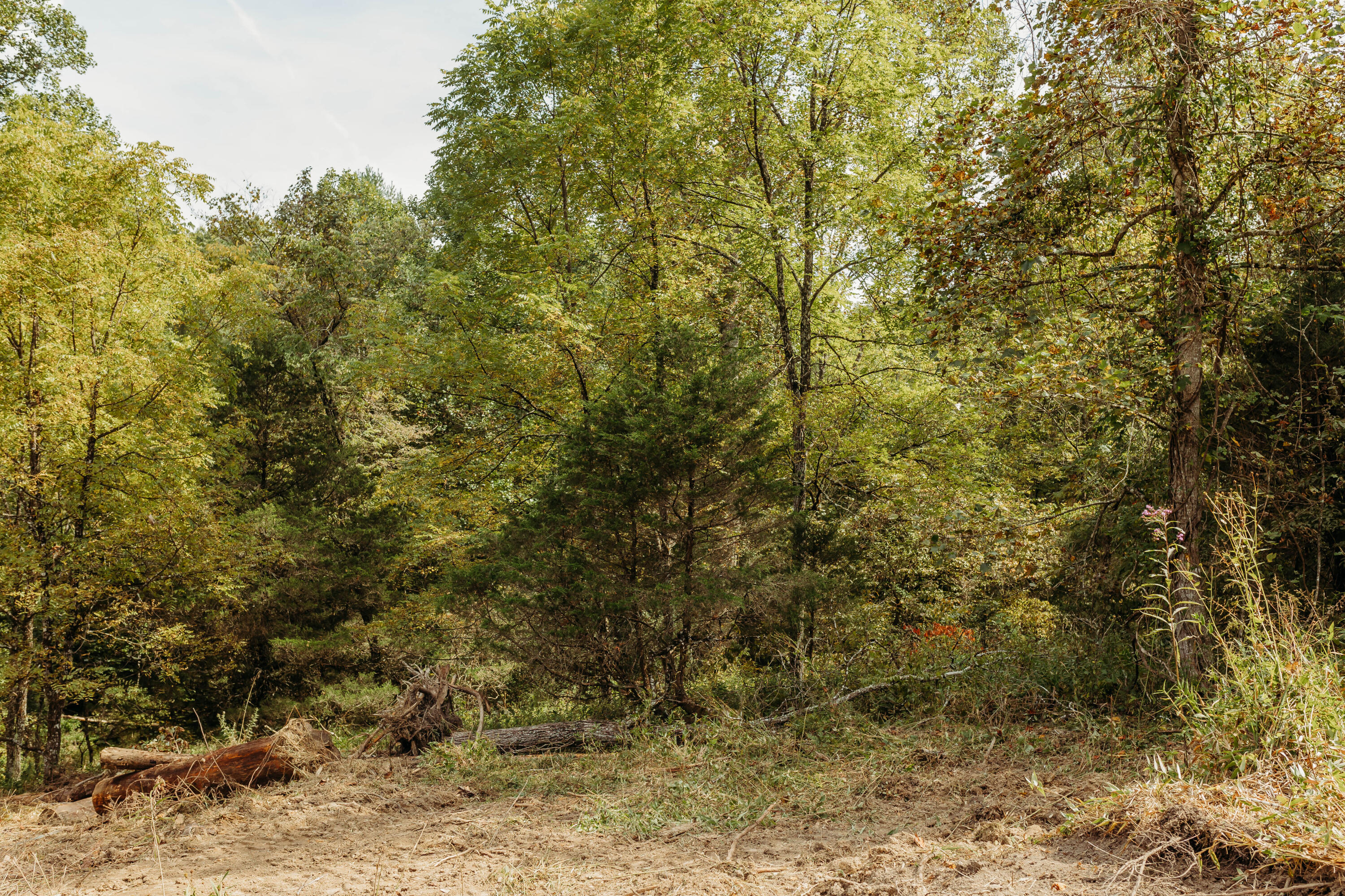 Tbd Lot 21 Tbd Road Campton, KY 41301 - Photo 4 of 19 FO7A1036