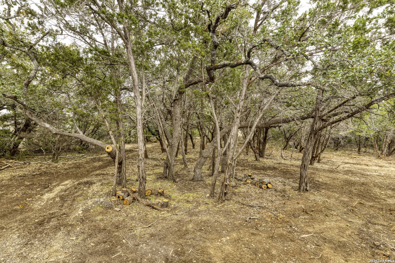 1595 Rocky Ridge Loop Canyon Lake, TX 78133 - Photo 27 of 32