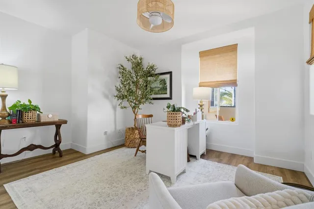 a living room with furniture and a potted plant