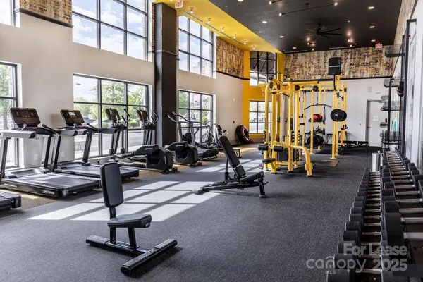 $1,477 | 101 West Morehead Street, Unit S1B, Charlotte, NC 28202