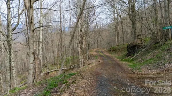 $21,000 | 0 Tyler Lane, Bakersville, NC 28705