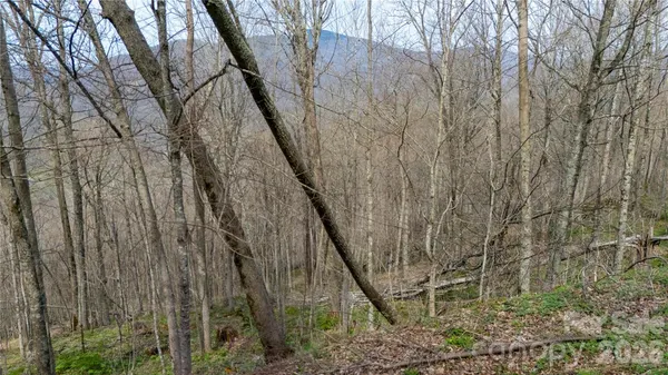 $21,000 | 0 Tyler Lane, Bakersville, NC 28705
