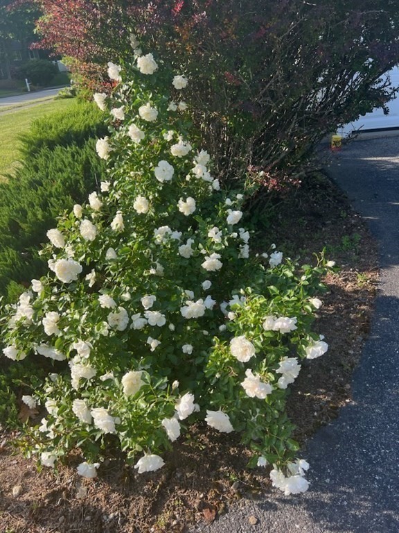 4 Valente Drive Worcester, MA 01604 - Photo 38 of 42