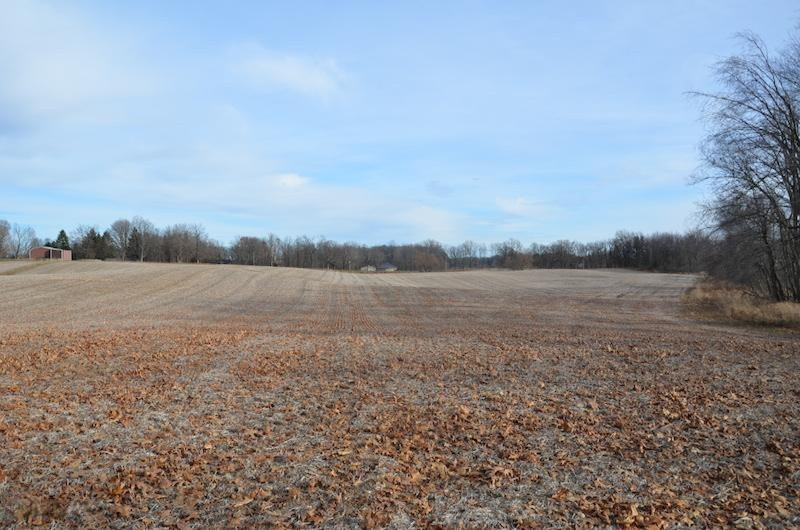 Floria Road Delton, MI 49046 - Photo 8 of 12 DSC_0865
