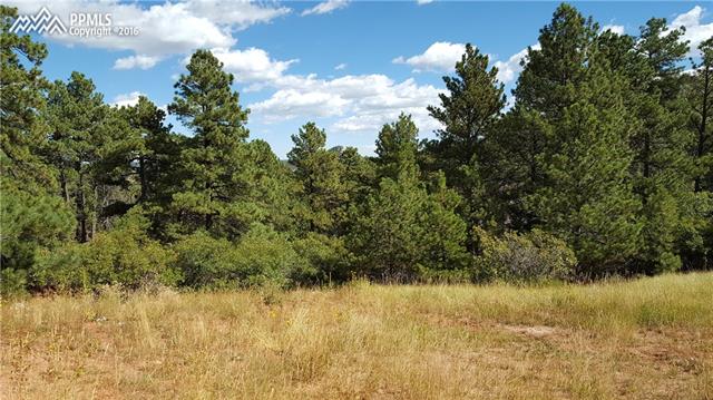 1001 Spruce Road Larkspur, CO 80118 - Photo 2 of 9 Gallery Image 2