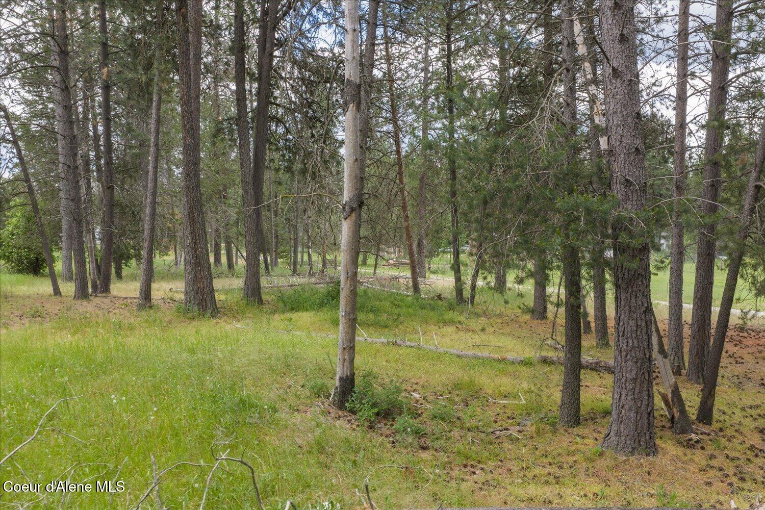 15707 North Ranch Valley Road Rathdrum, ID 83858 - Photo 10 of 49 15707 N Ranch Valley Rd, Rathdrum Idaho