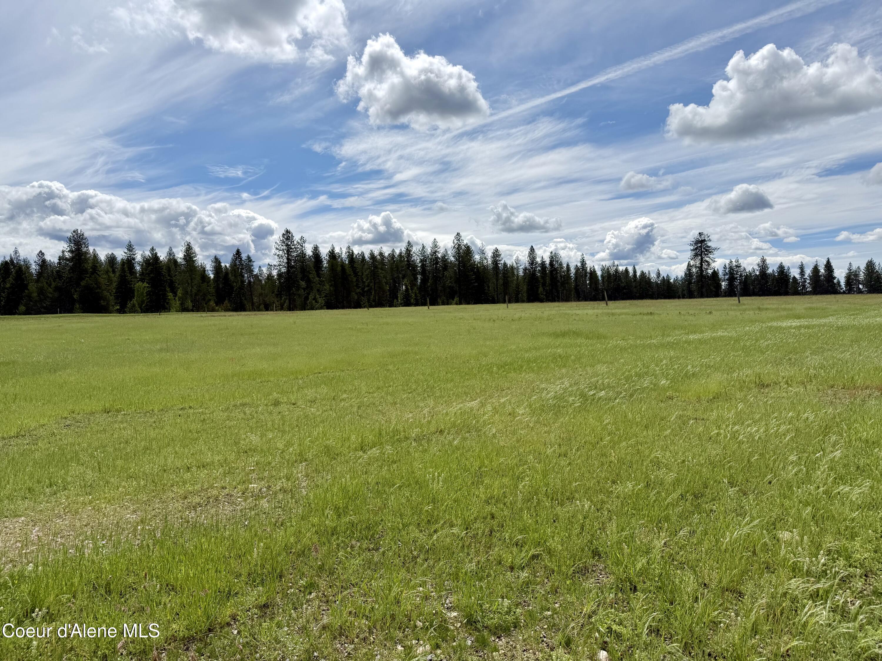 Lot 10 North Stonemason Way Rathdrum, ID 83858 - Photo 5 of 7 Open, usable acreage.