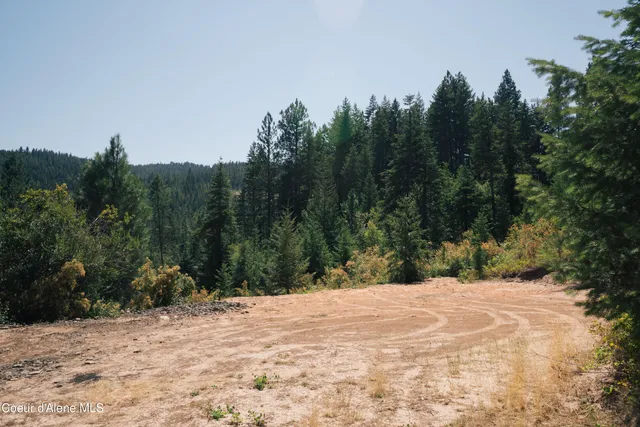 $115,000 | 0 Loper Lane, Desmet, ID 83824