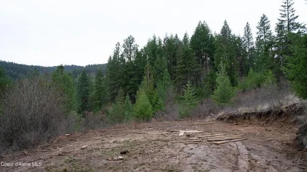 $115,000 | 0 Loper Lane, Desmet, ID 83824