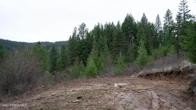 $115,000 | 0 Loper Lane, Desmet, ID 83824