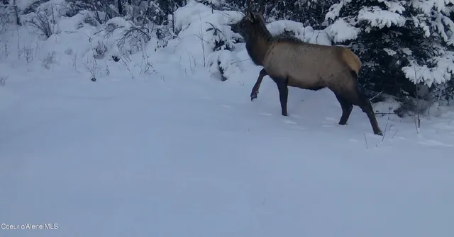 $115,000 | 0 Loper Lane, Desmet, ID 83824