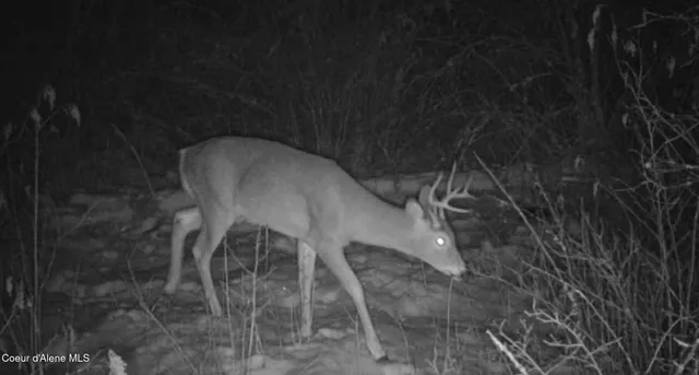 $115,000 | 0 Loper Lane, Desmet, ID 83824