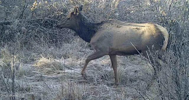 $115,000 | 0 Loper Lane, Desmet, ID 83824