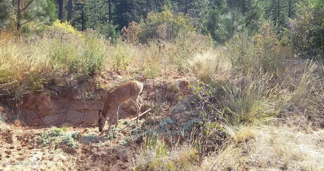 $115,000 | 0 Loper Lane, Desmet, ID 83824