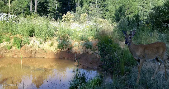 $115,000 | 0 Loper Lane, Desmet, ID 83824