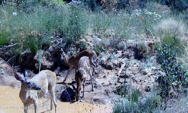 $115,000 | 0 Loper Lane, Desmet, ID 83824