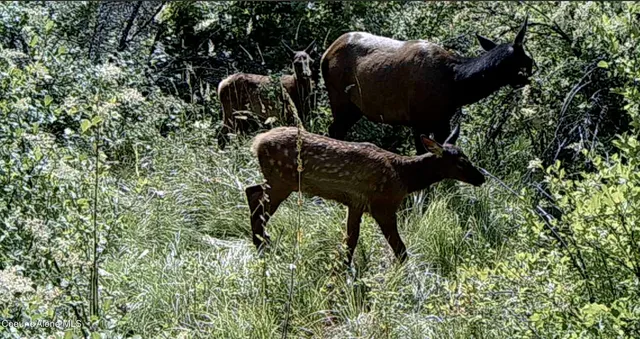 $115,000 | 0 Loper Lane, Desmet, ID 83824