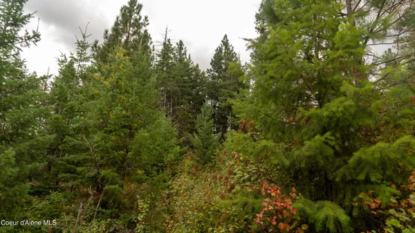 $115,000 | 0 Loper Lane, Desmet, ID 83824
