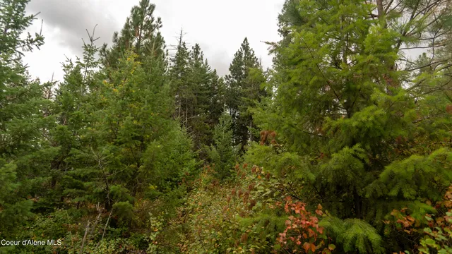 $115,000 | 0 Loper Lane, Desmet, ID 83824