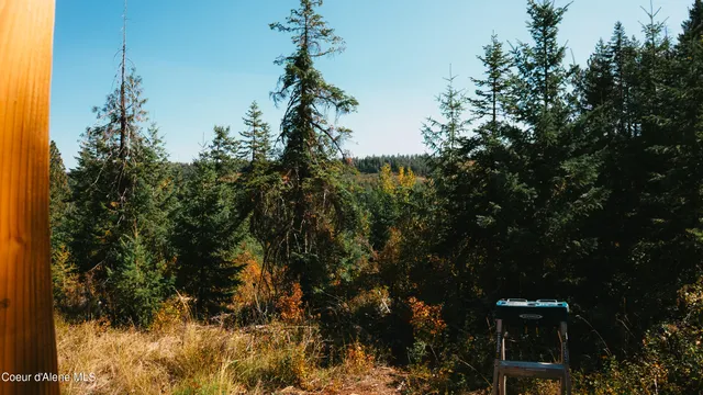 $115,000 | 0 Loper Lane, Desmet, ID 83824