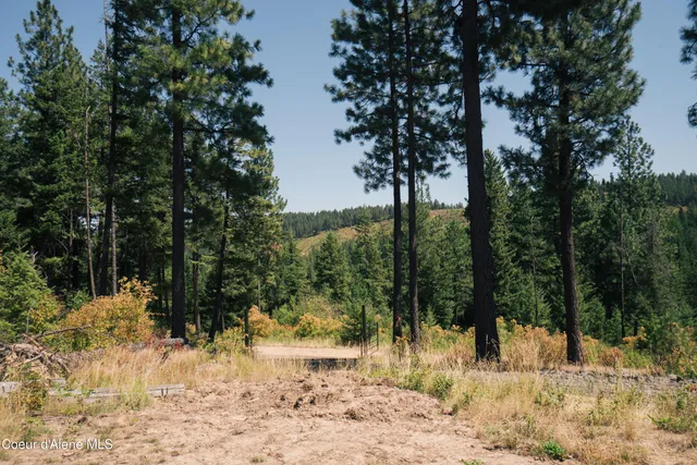$115,000 | 0 Loper Lane, Desmet, ID 83824