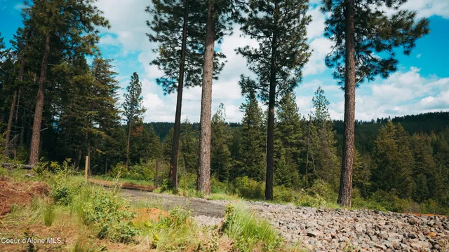 $115,000 | 0 Loper Lane, Desmet, ID 83824